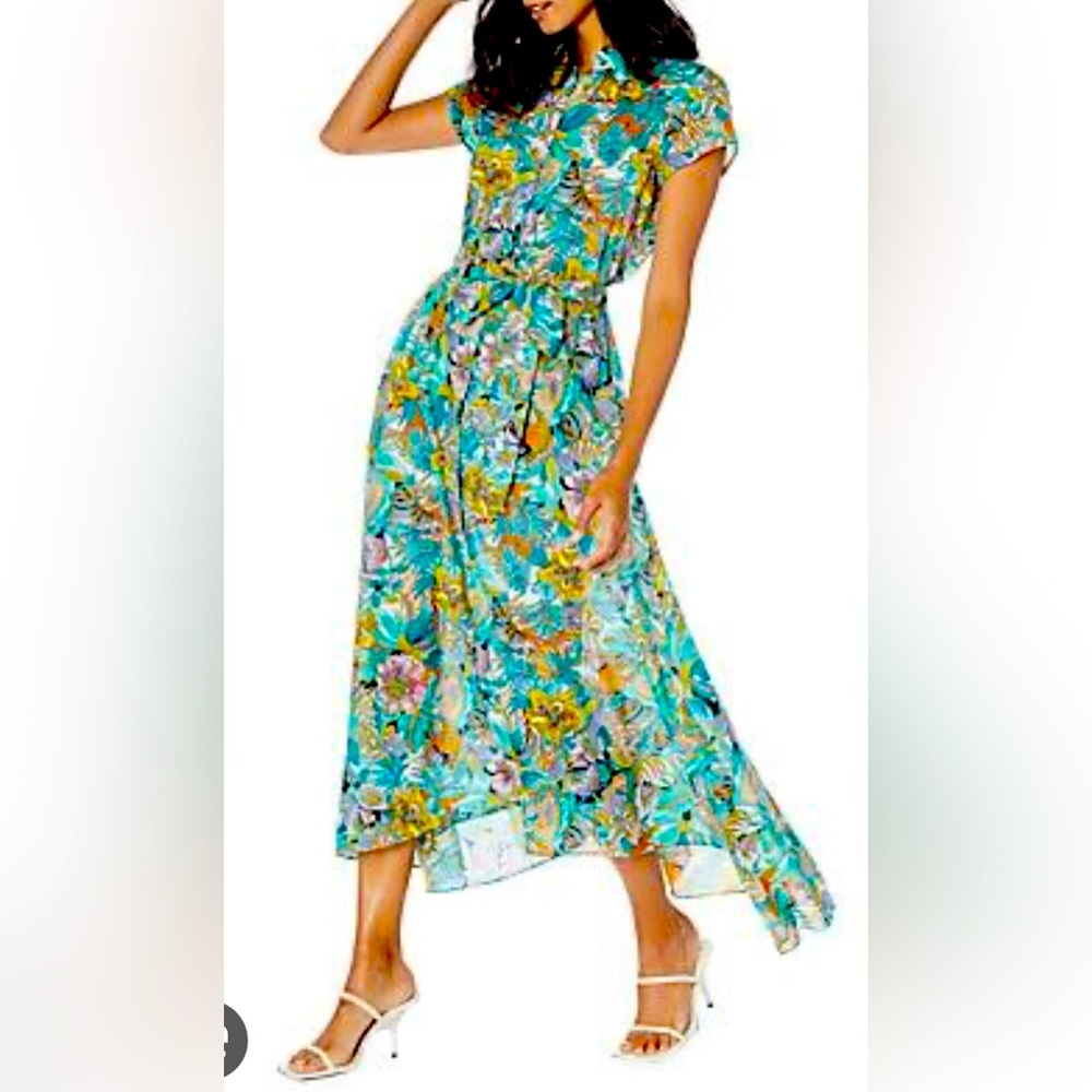 Robert Graham Vivienne Voile Maxi Shirtdress - GUC